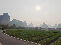 -明仕田园