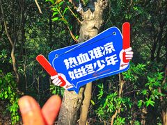 -滴水岩森林公园