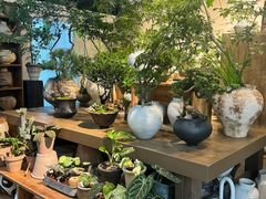 -自由生长植物工作室(深港花卉中心店)