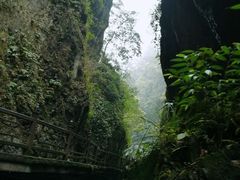 -峨眉山风景名胜区