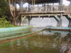 -济南方特东方神画