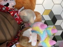 -LLJ夹机占(清河万象汇店)