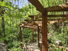 -大岭沟猕猴桃谷风景区