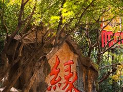 -杭州黄龙洞