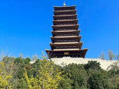 -牛首山文化旅游区