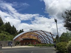 -怀托摩萤火虫洞