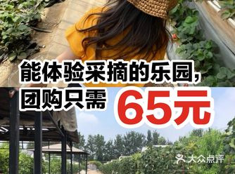 能体验采摘的乐园,团购只需65元。
