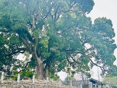 -古堰画乡景区