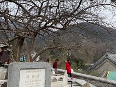 -潭柘寺景区