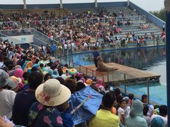 -北戴河圣蓝海洋公园