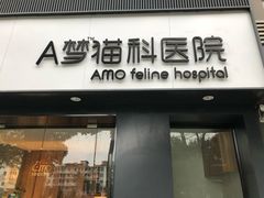 -御宝贝·A梦猫科宠物医院(国际猫友好医院)