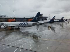 -谢列梅捷沃国际机场