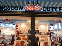 -谢列梅捷沃国际机场