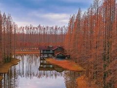 -黄海国家森林公园