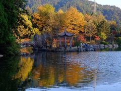 -四明山国家森林公园