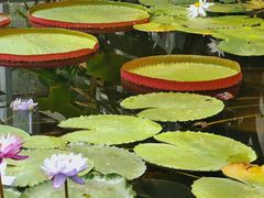 -国家植物园南园