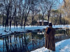 -长白岛森林公园