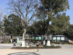 -合肥滨湖国家森林公园