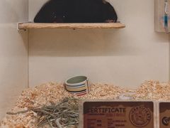 -龙猫仔乐园(惠福东路店)