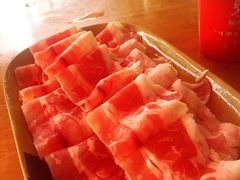 -顺德哥卜卜贝(旗舰店)