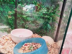 -狗道宠物(常熟印象城店)