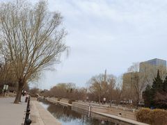 -元大都城垣遗址公园