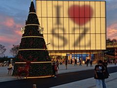 -深圳湾万象城(南山店)