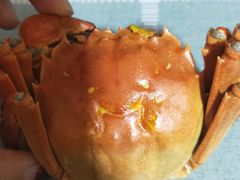 -阳澄湖大闸蟹·琼灵阁牌品牌连锁(吴中总店)