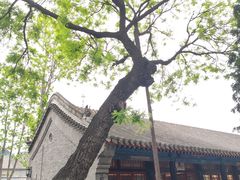 -保定直隶总督署博物馆
