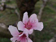 -广富林郊野公园
