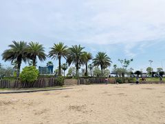 -柳湖沙月沙滩公园
