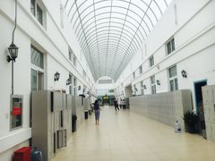 -中加枫华国际学校