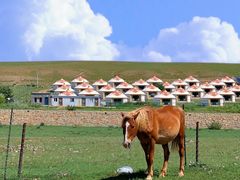 -敕勒川草原文化旅游区