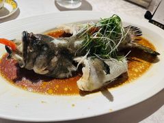 -南海渔村(珠江新城店)