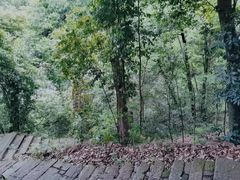-杭州黄龙洞