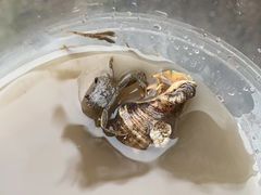-鹰龙海畔度假酒店(咸祥店)