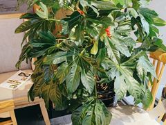 -邵汇大虾火锅(鲁迅路店)
