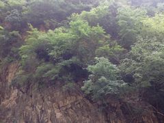 -北京上方山国家森林公园