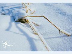-蓟县盘山滑雪场