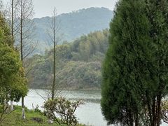 -宁波九龙湖开元度假村
