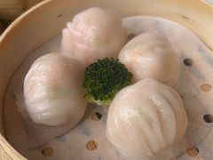 -南海渔村(珠江新城店)