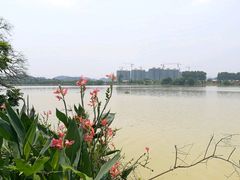 -鹤之洲湿地公园