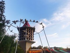 -北京鹿世界主题园