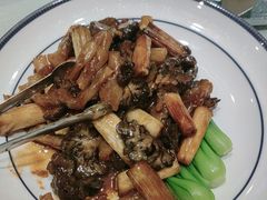-海派美食·家宴海鲜青岛菜·石锅鲽鱼头(东方城店)
