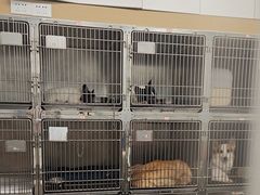 -瑞派康怡24h宠物医院·犬猫医疗中心·微创绝育(瑞景分院)