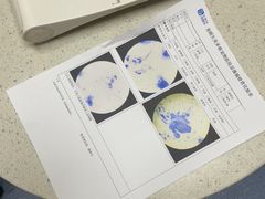 -宠颐生美多格动物医院骨科·影像科新北转诊中心(汉江路店)