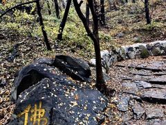 -阳台山自然风景区