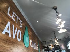 -油梨树AVOCADO TREE(顺义新国展店)