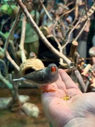 -Zoolung Zoolung动物主题公园(海信广场店)