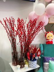 -联合丽格·张菡丽格医疗美容